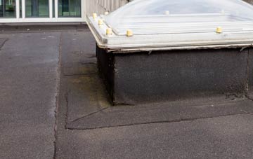 disadvantages of Cwrt Y Cadno flat roofs