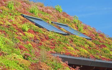Cwrt Y Cadno living roof systems