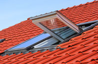 Cwrt Y Cadno roof window